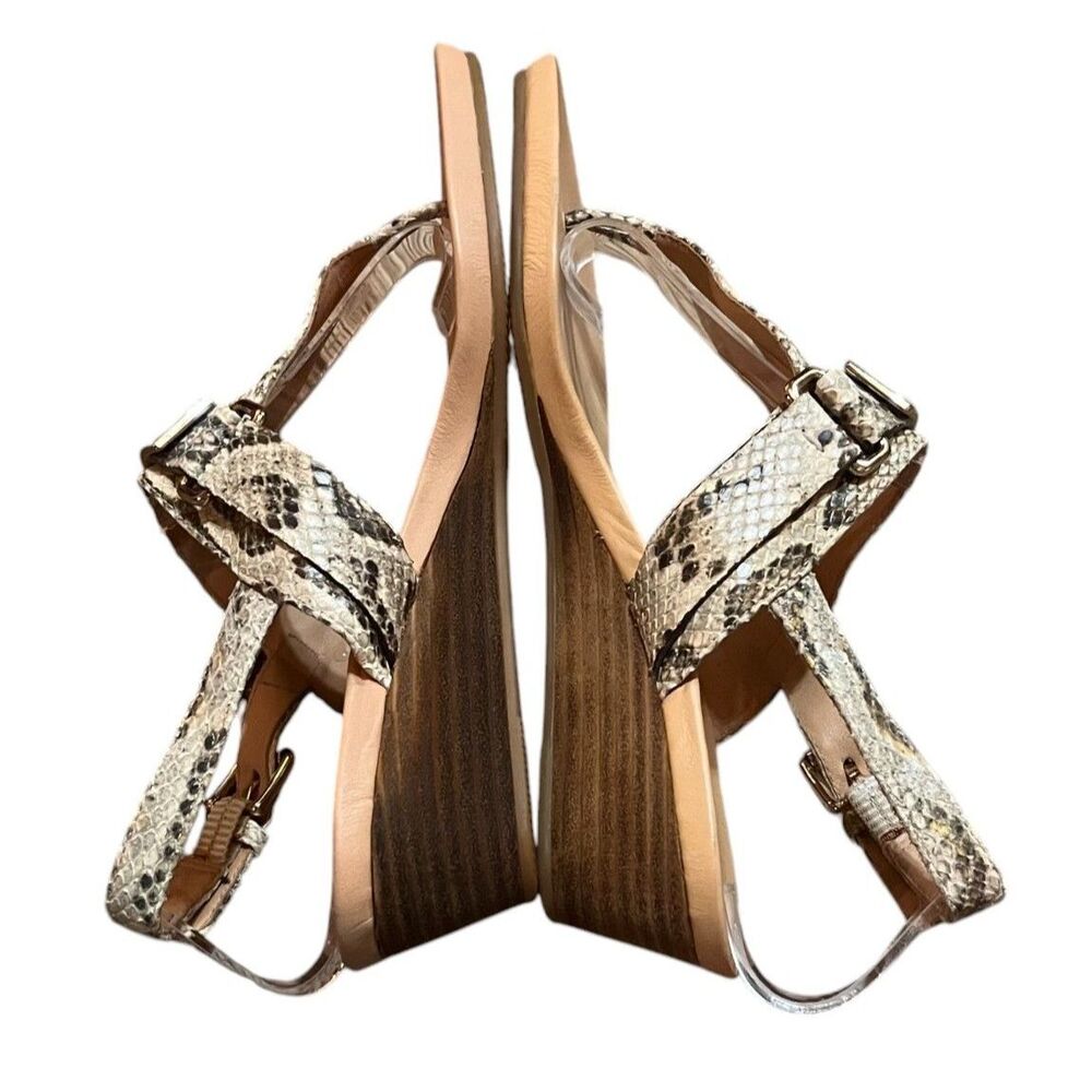 COACH Buckle Animal Python Print Danielle Women's Sling Back Sandals Sz 7